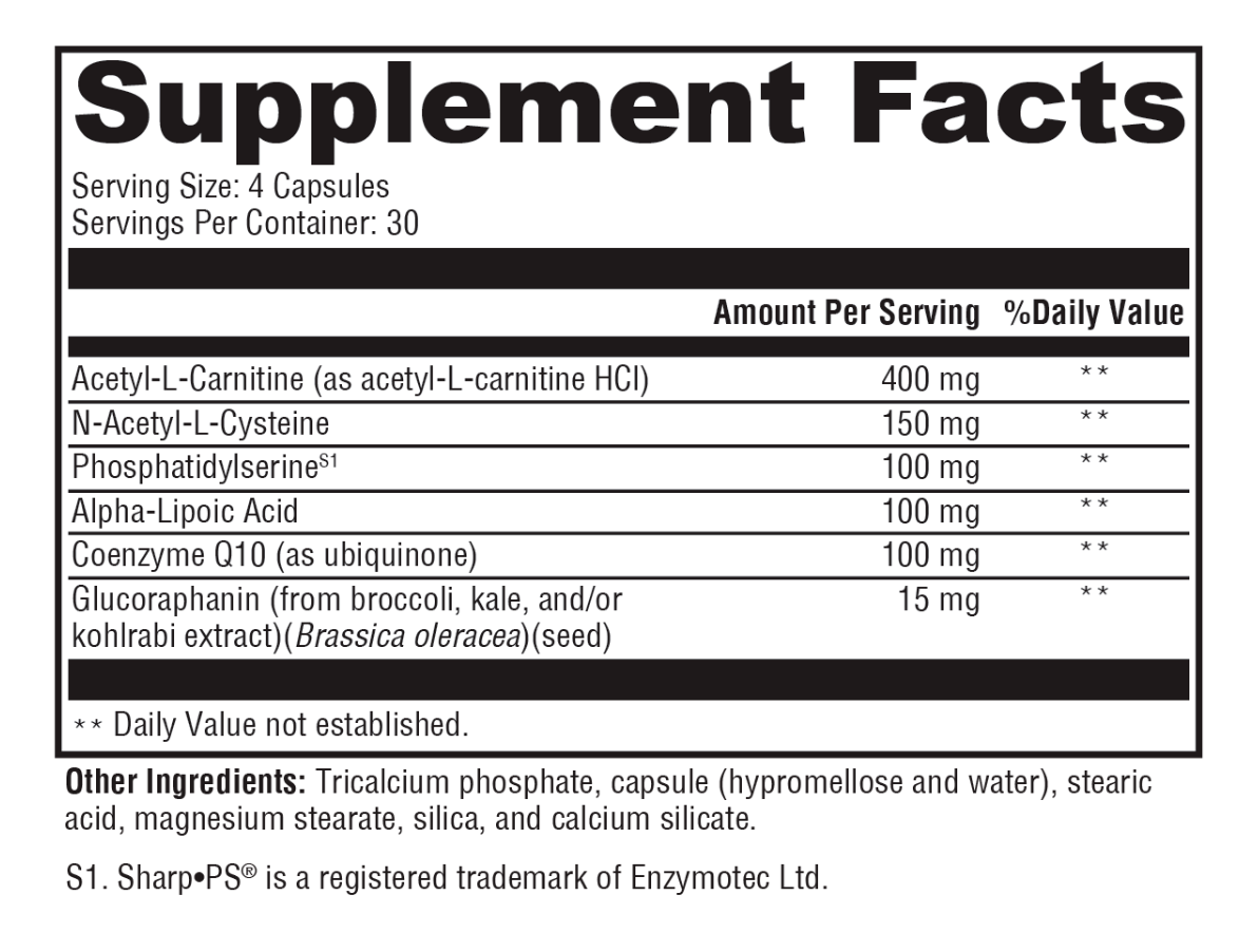 Brain Support - Image 2
